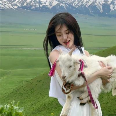 梦想成为律师的律师们